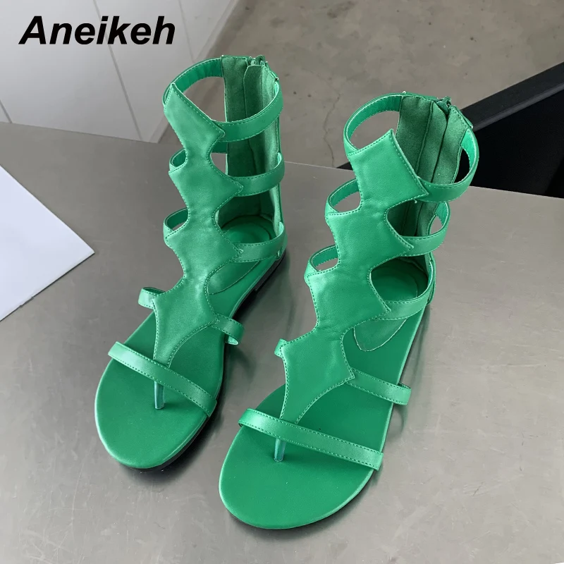 Thong Flat Sandal - Aneikeh Women's Shoes 2026 New Rome